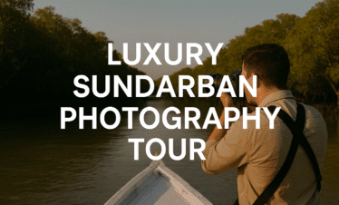 Sundarban Photography Tour package