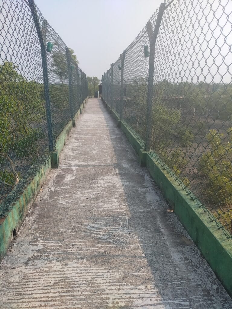 sundarban dobanki watch tower